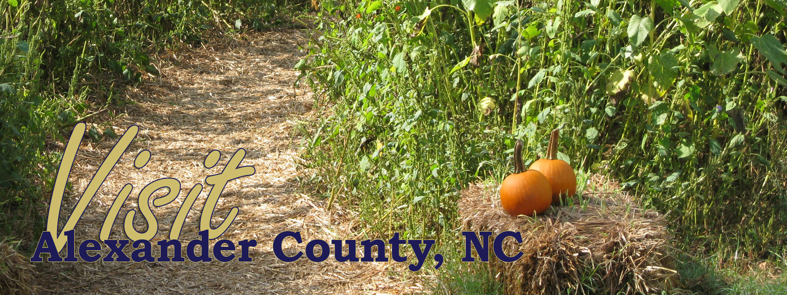 Visit Alexander County, NC